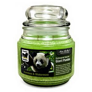 Lumanare Parfumata Bamboo & Watermint - Save GIANT PANDA
