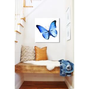 Tablou pe oglinda Fluture Albastru Mirrora 13 - 50x50 cm