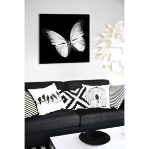 Tablou pe oglinda Fluture alb 3D Mirrora - 50x50 cm (Tablouri)