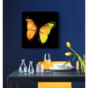 Tablou pe oglinda Fluture 3D Mirrora 06 - 50x50 cm (Tablouri)