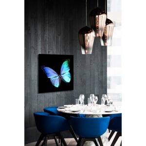 Tablou pe oglinda Fluture Albastru 3D Mirrora 16 - 50x50 cm