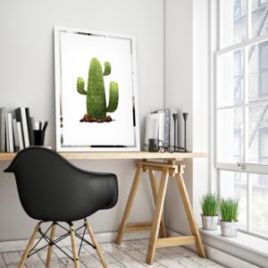 Tablou pe oglinda Cactus Mirrora 70 - 60x40 cm (Tablouri)