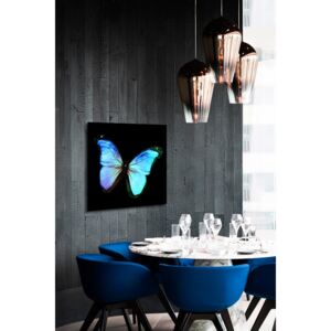 Tablou pe oglinda Fluture Albastru 3D Mirrora 18 - 50x50 cm