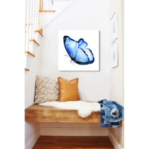 Tablou pe oglinda Fluture Albastru Mirrora 14 - 50x50 cm