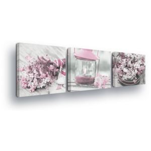 Tablou - Vintage Light Pink Decorations 3 x 25x25 cm