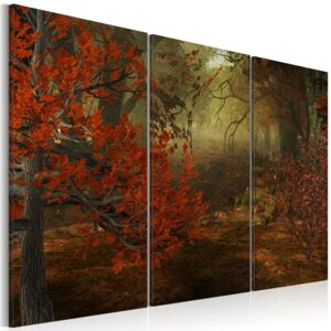 Tablou - Copse - triptych 60x40 cm