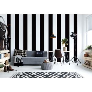 Fototapet - Black And White Stripes Vliesová tapeta - 368x254 cm