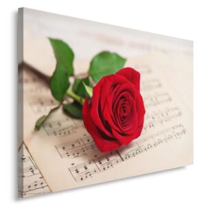 CARO Tablou pe pânză - Rose On Musical Notes 50x40 cm