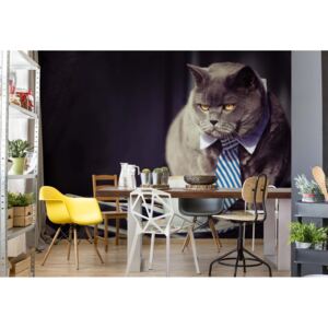 Fototapet GLIX - Cat Boss + adeziv GRATUIT Papírová tapeta - 368x254 cm