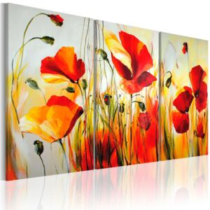 Mână pictată imagine Bimago - Red meadow 120x80 cm