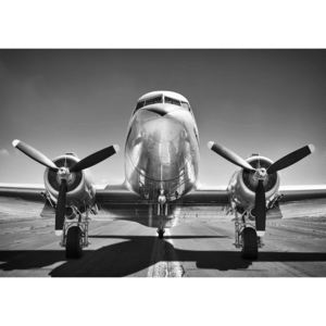 Buvu Fototapet: Aeronave negre și albe (1) - 254x368 cm