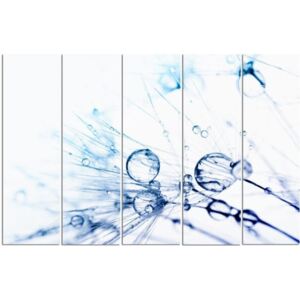CARO Tablou pe pânză - Water Drops On A Dandelion 2 100x70 cm