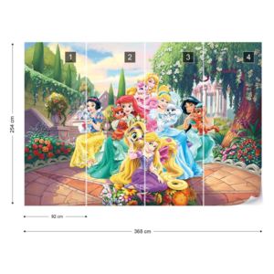 Fototapet - Disney Princesses Vliesová tapeta - 368x254 cm