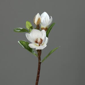 Magnolia artificiala crem - 36 cm