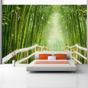 Bimago Fototapet - Magical world of green 400x280 cm