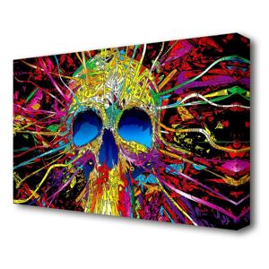 Tablou canvas Colourful Skull, 101.6 x 142.2