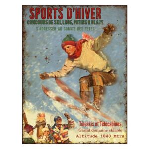 Placă decorativă din metal Antic Line Sports D'hiver, 25 x 33 cm