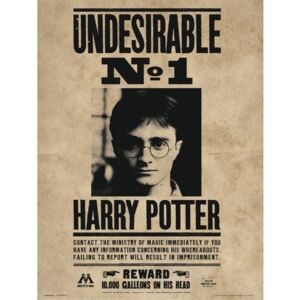 Harry Potter - Undesirable No1 Reproducere, (30 x 40 cm)