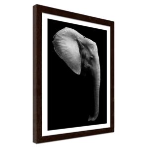 CARO Imagine în cadru - Elephant In Black And White 30x40 cm Maro