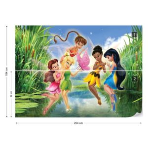 Fototapet - Disney Fairies Vliesová tapeta - 254x184 cm