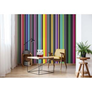 Fototapet - Colourful Stripe Pattern Vliesová tapeta - 368x254 cm