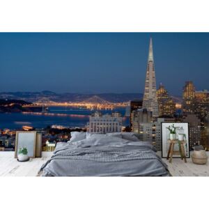 Fototapet - San Francisco City Skyline Vliesová tapeta - 208x146 cm