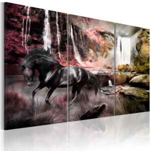 Tablou - Black horse by a waterfall 120x80 cm