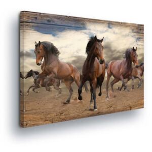 Tablou - Wild Horses 80x80 cm