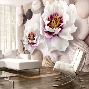Fototapet - Flowers and Shells 300x210 cm