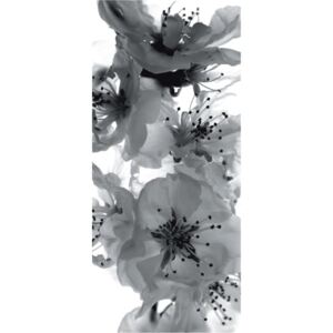 Tapet pentru usă - Black and white flower Hârtie tapet