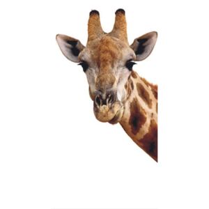 Tapet pentru usă - Giraf Hârtie tapet