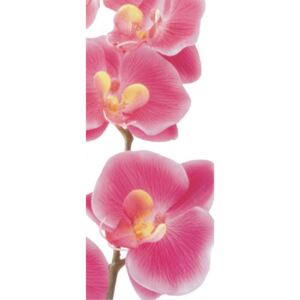 Tapet pentru usă - Pink orchid Hârtie tapet
