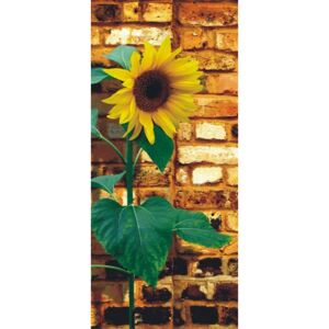Tapet pentru usă - Sunflower on bricks Hârtie tapet
