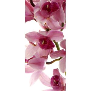 Tapet pentru usă - Vertical orchid Hârtie tapet