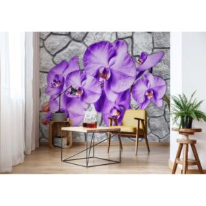 Fototapet - Flowers Orchids Stone Wall Texture Papírová tapeta - 184x254 cm