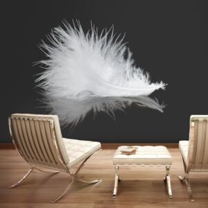 Fototapet - White feather 200x154 cm