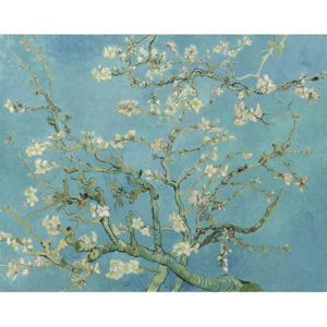 Almond Blossom, 1890 Reproducere, Vincent van Gogh