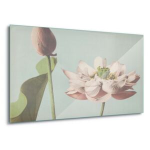 Tablou pe sticlă - Lotus Blossom, Ogawa Kazumasa. 100x75 cm