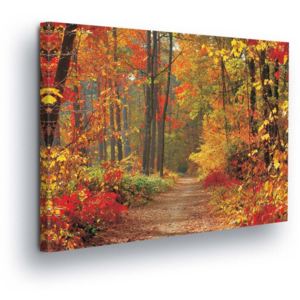 GLIX Tablou - Colorful Forest 80x60 cm