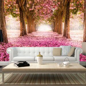 Fototapet Bimago - Pink grove + Adeziv gratuit 400x280 cm