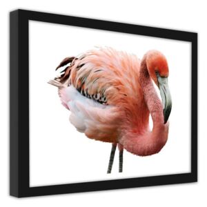 CARO Imagine în cadru - Pink Flamingo 50x40 cm Negru