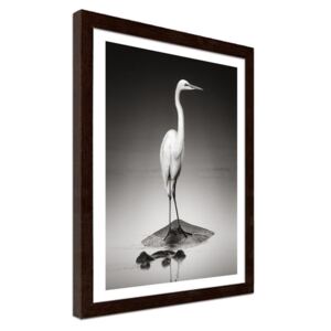 CARO Imagine în cadru - Heron On A Hippopotamus 30x40 cm Maro