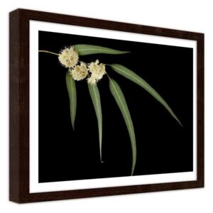 CARO Imagine în cadru - Eucalyptus 40x30 cm Maro