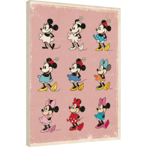 Minnie Mouse - Evolution Tablou Canvas, (60 x 80 cm)