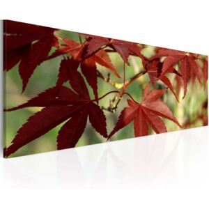 Bimago Tablou - Color of autumn 120x40 cm