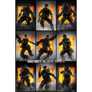 Poster - Call of Duty Black Ops 4 (Characters)