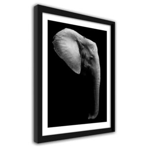 CARO Imagine în cadru - Elephant In Black And White 40x50 cm Negru