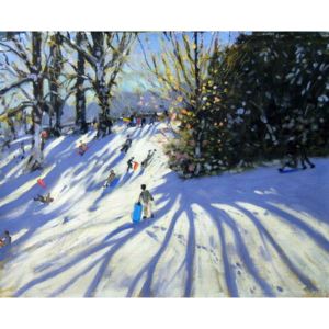 Early snow, Darley Park Reproducere, Andrew Macara
