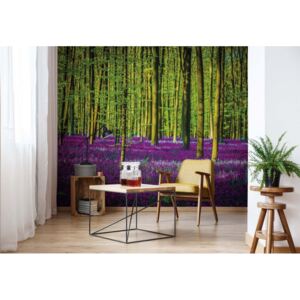 Fototapet - Purple Forest Trees Vliesová tapeta - 368x254 cm