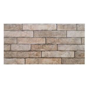 Gresie Delta Beige portelanata 30x60